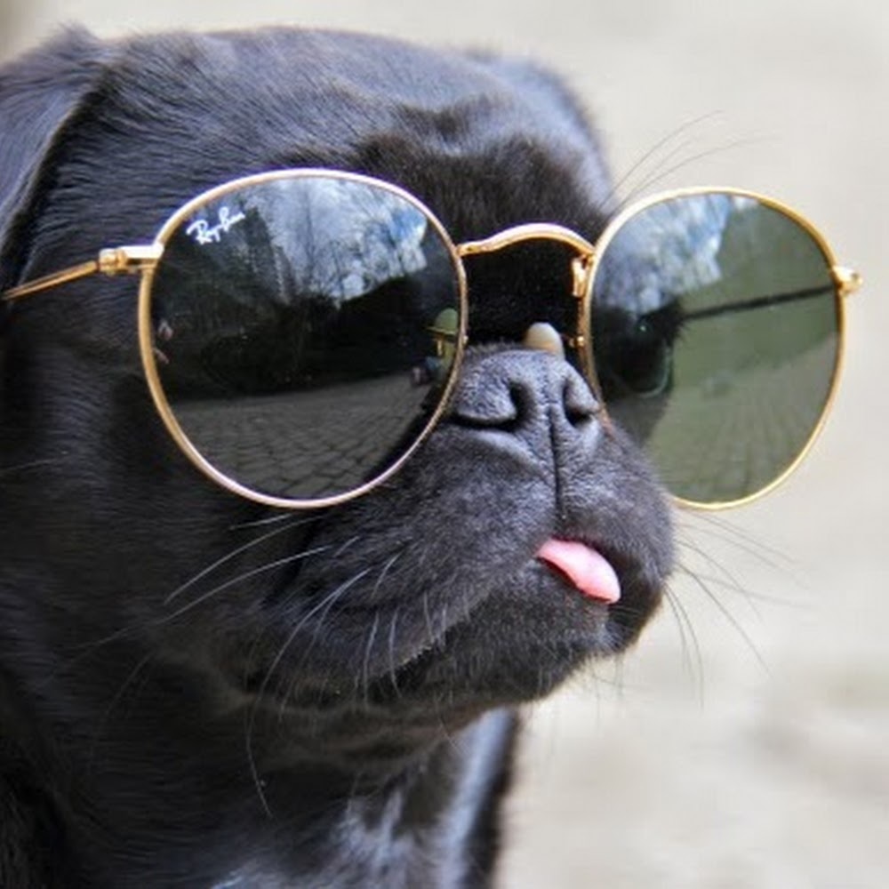 Meet your Posher, Cameron